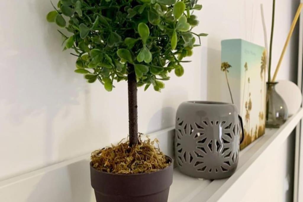 La Casa De Los Tiles Vélez Blanco エクステリア 写真