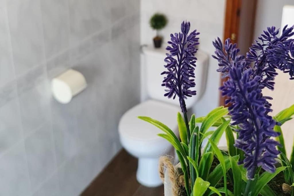 La Casa De Los Tiles Vélez Blanco エクステリア 写真